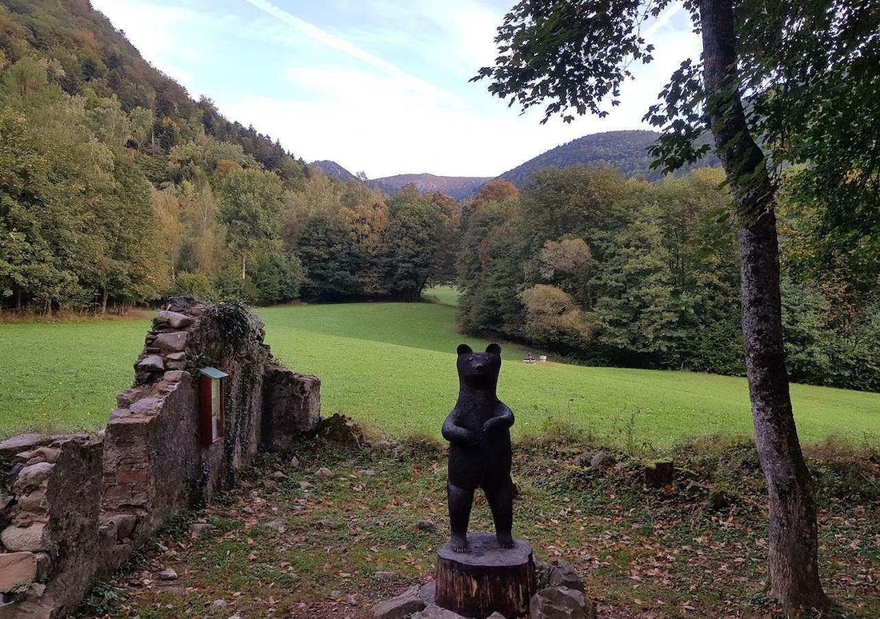 Naturezenkota Mittlach Exteriör bild