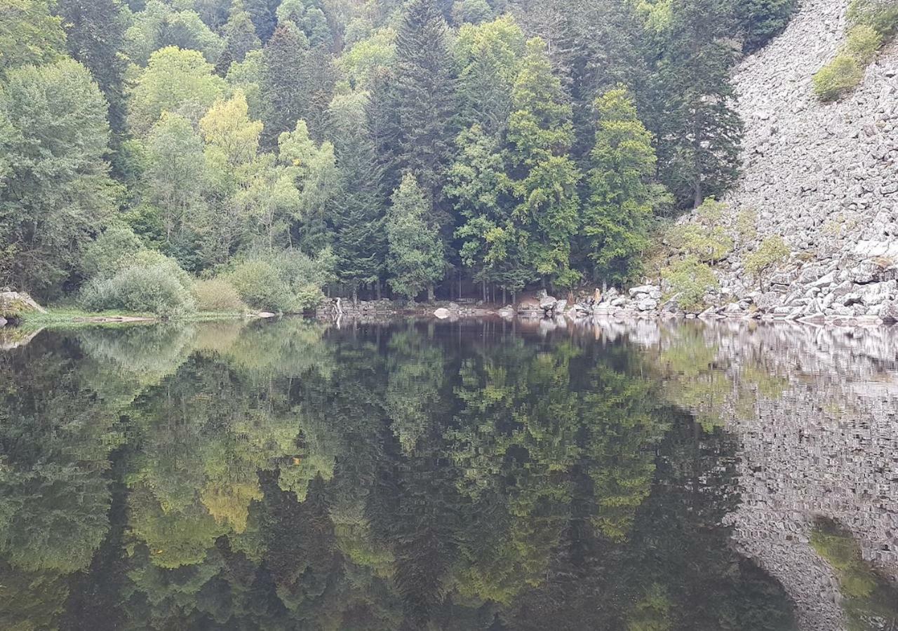 Naturezenkota Mittlach Exteriör bild