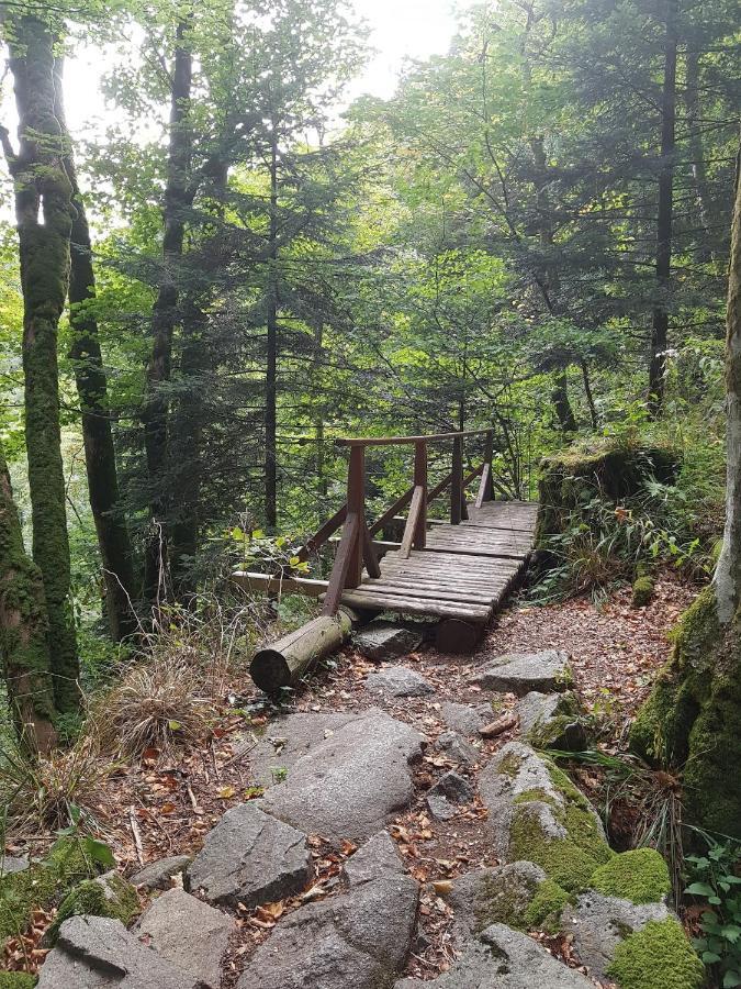 Naturezenkota Mittlach Exteriör bild