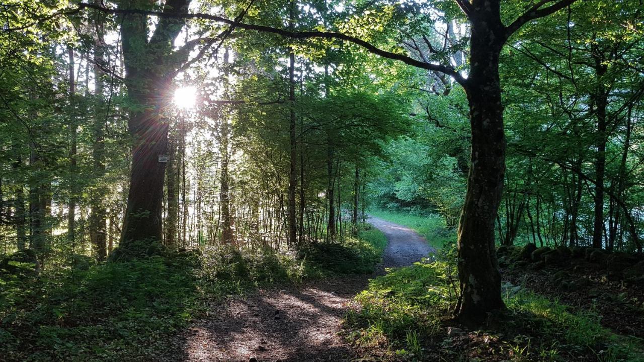 Naturezenkota Mittlach Exteriör bild